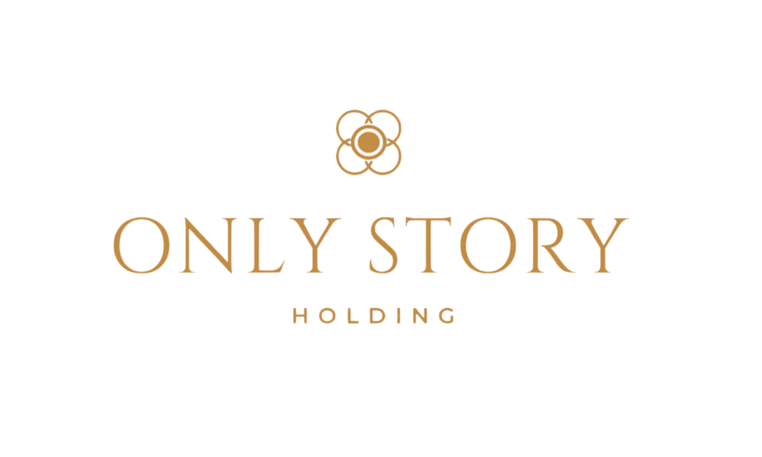 ONLY STORY HOLDING logo